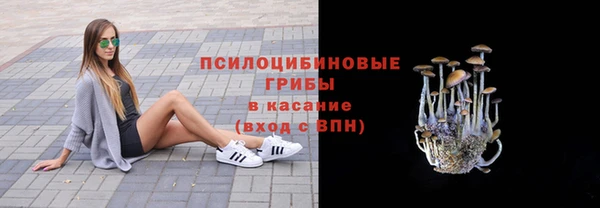 прущие крисы Беломорск