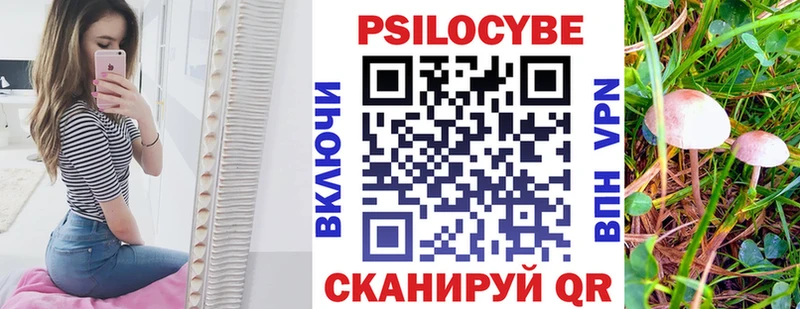 Псилоцибиновые грибы Psilocybine cubensis  Сегежа 